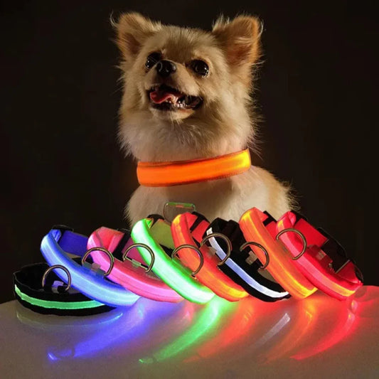 GlowGuard | Premium LED Dog Collar for Night-time Safety | 1+1 FREE