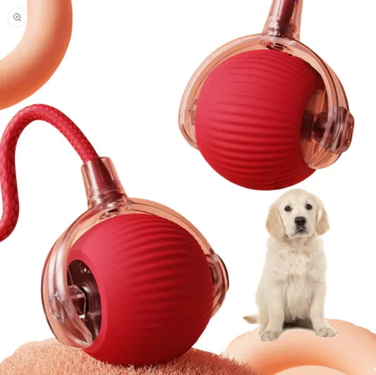 PlayPursuit | Interactive Pet Toy for Endless Fun
